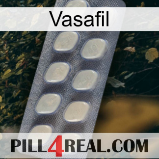 Vasafil 08